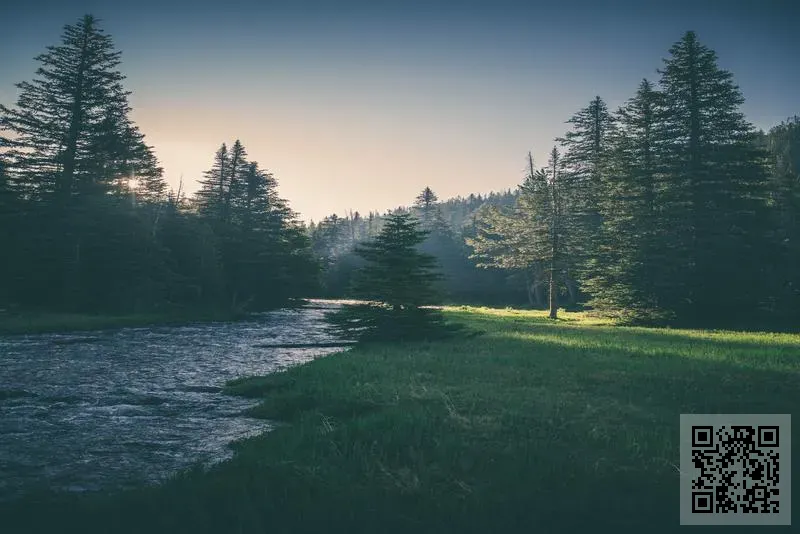 隆泰宇通實業有限公司