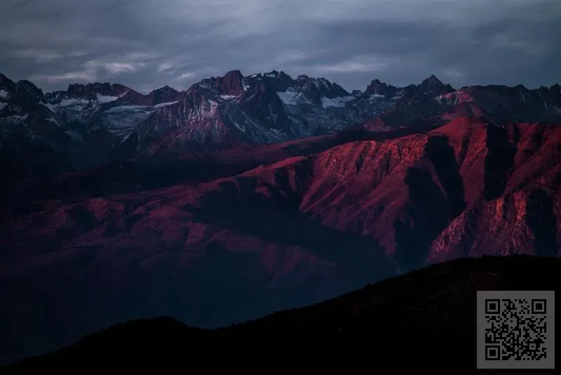 香江小廚有限公司