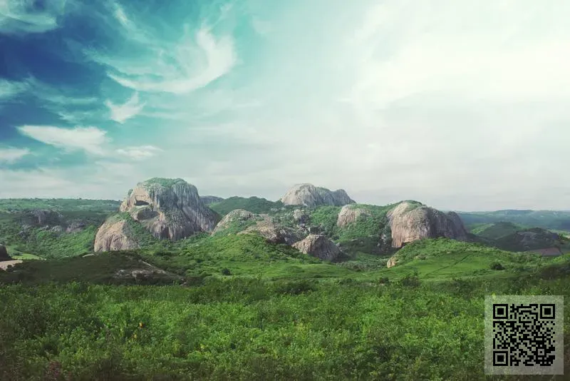 佰盛唐(香港)貿易有限公司