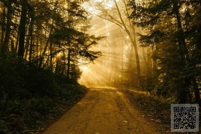 香港恒基化工集團有限公司