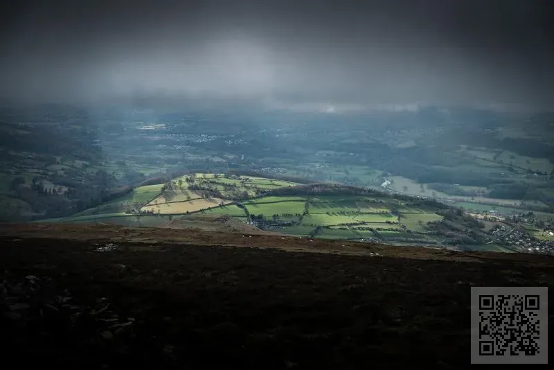 金龍開發管理有限公司