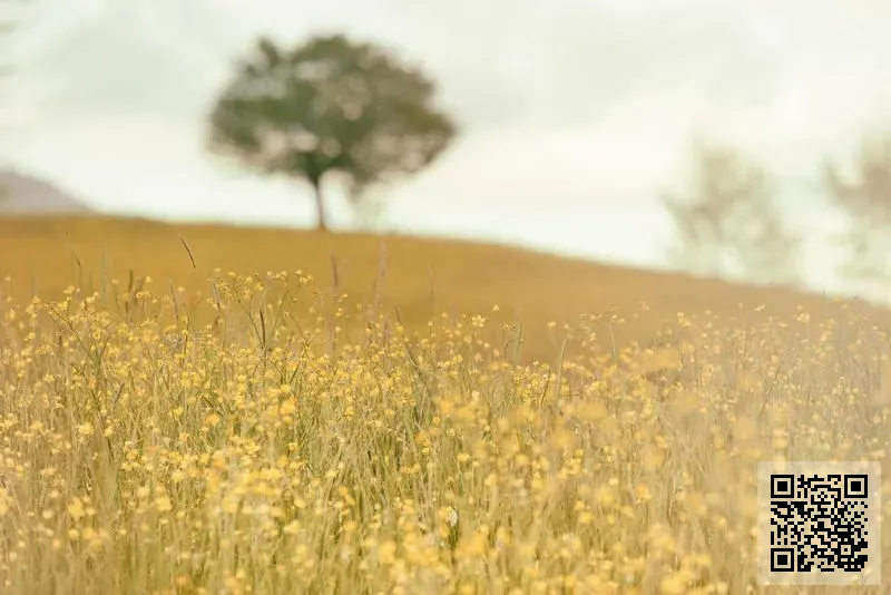 傑出工程集團有限公司