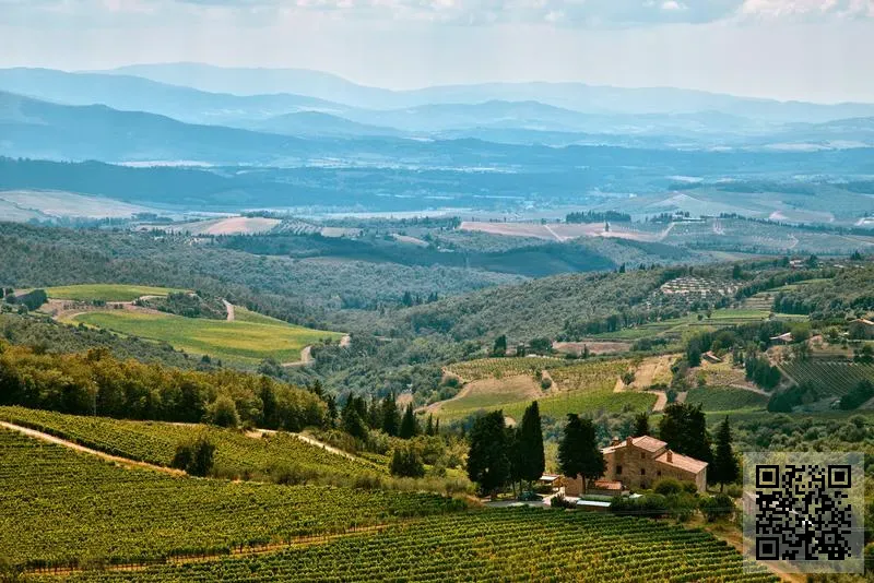 富通18有限公司