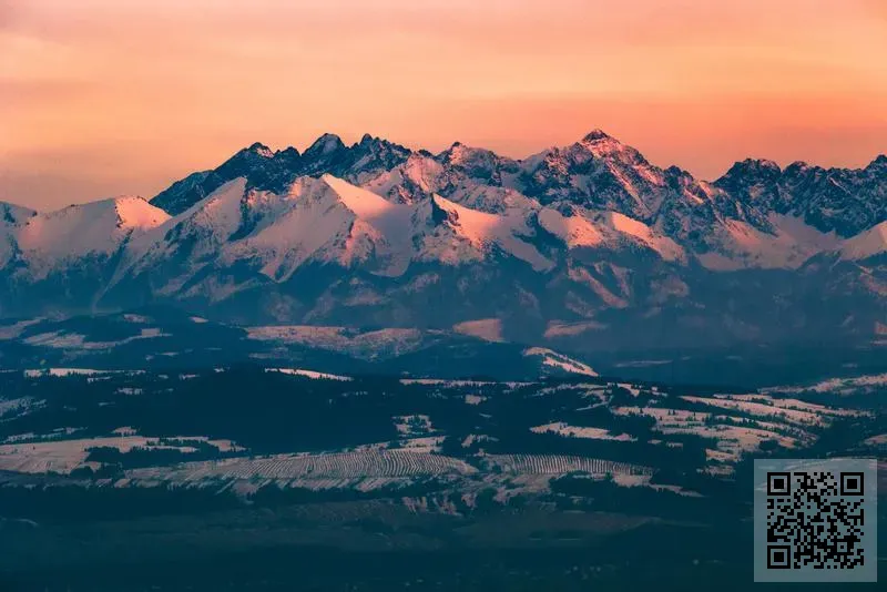 成天電業(貿易)有限公司