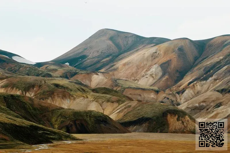 中國長城石化新能源科技有限公司