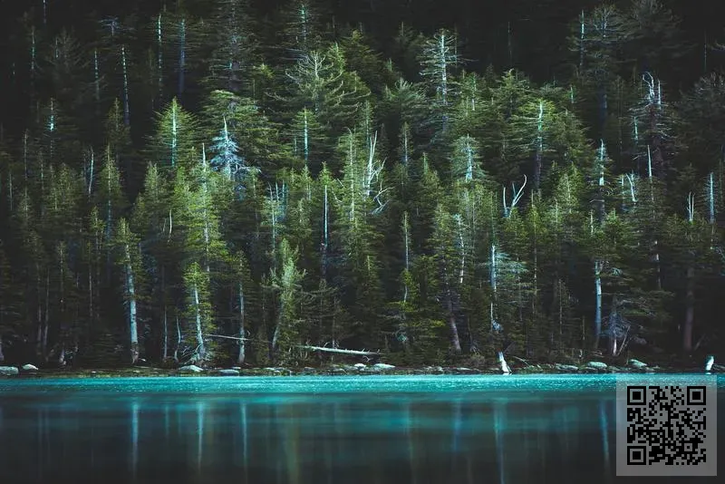 洪華工程有限公司