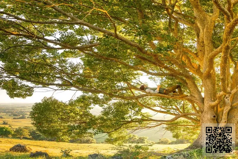 威普能源投資有限公司