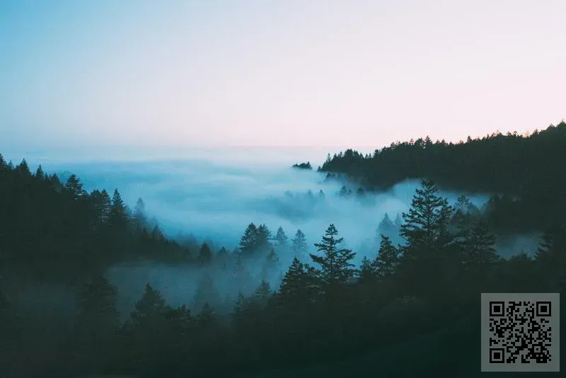 香港鴻宇網絡科技有限公司