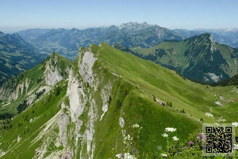 深圳市文明科技有限公司