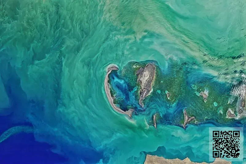 香港瑞寶電子科技有限公司