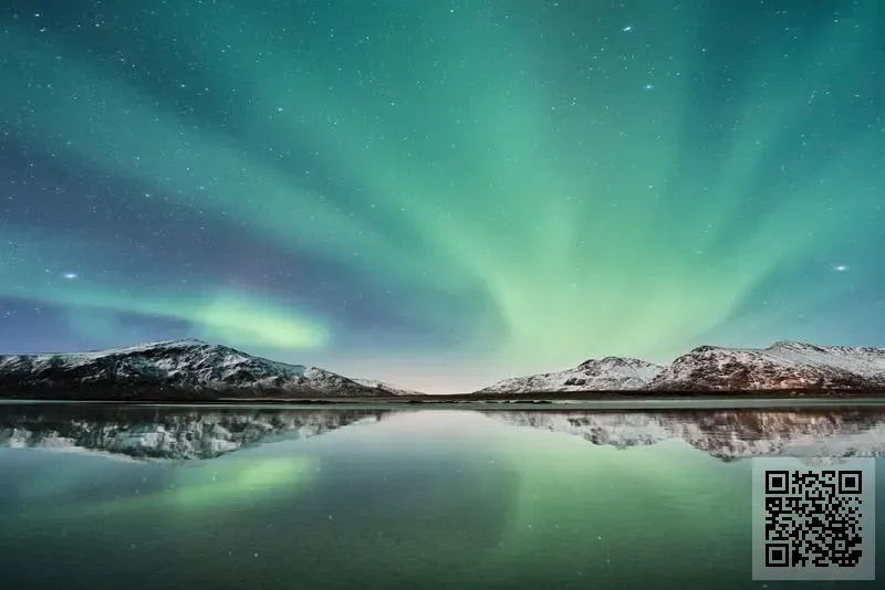 星火燎原教育集團有限公司