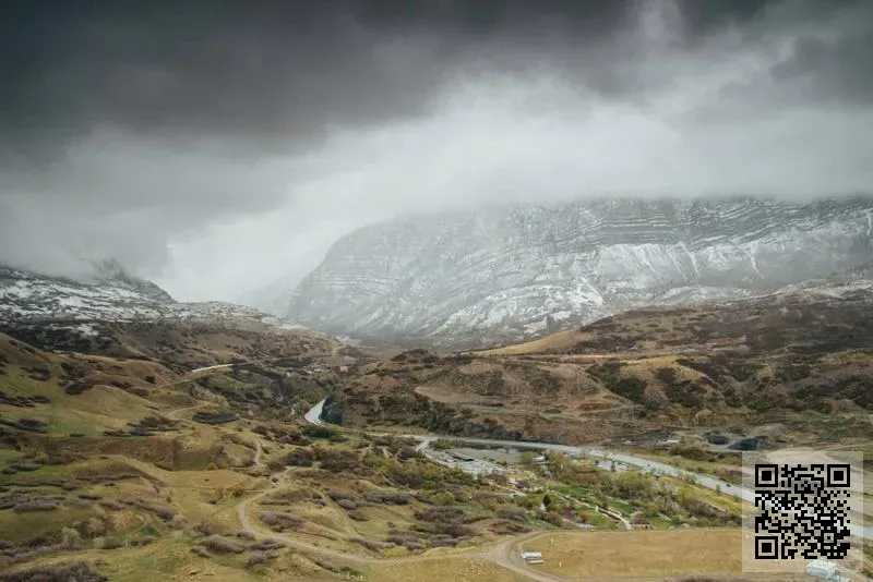 Osland Trade Co., Limited