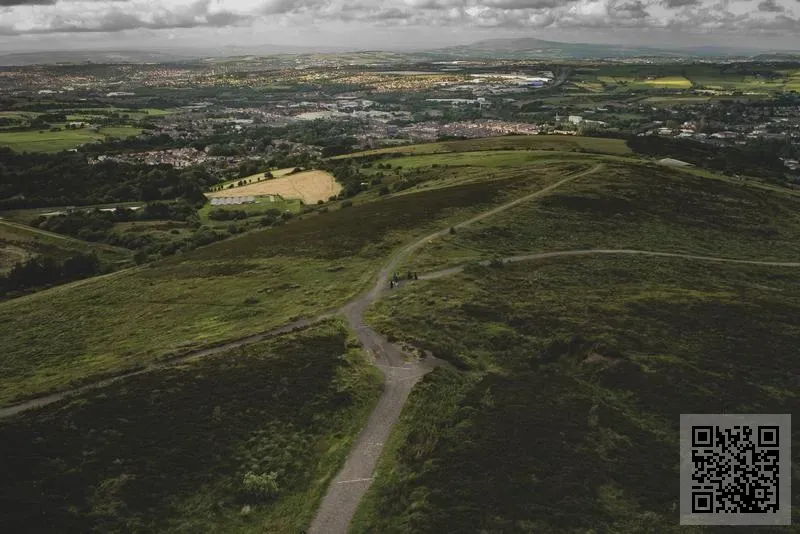中國健康組織聯盟控股有限公司