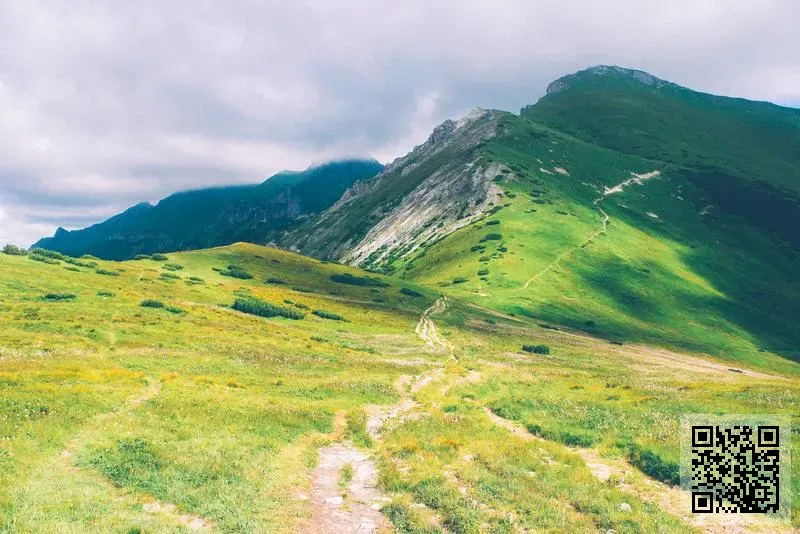 珈晴美容有限公司