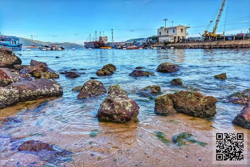 達駿美貿易有限公司