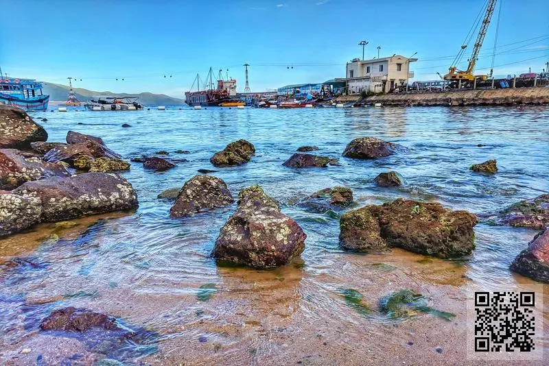 香港卓新實業有限公司