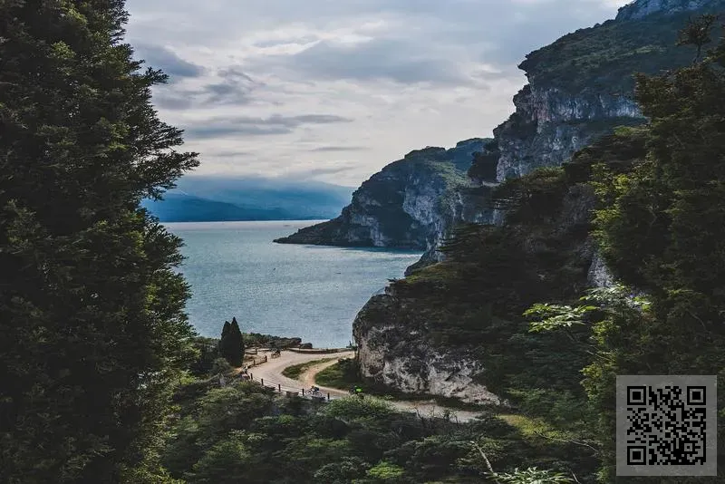 中國春澳能源有限公司