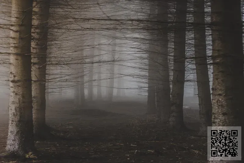 聚錦生物科技(香港)有限公司