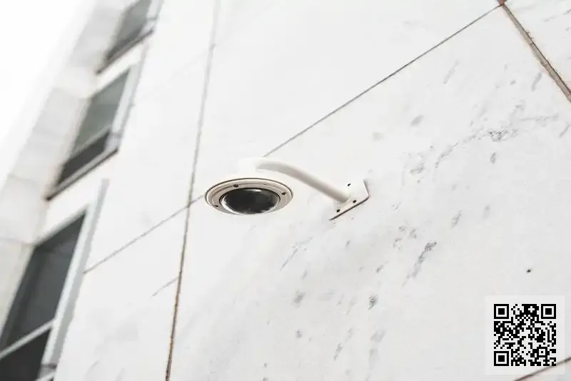 茂松山有限公司