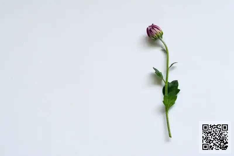 北方實業(香港)有限公司