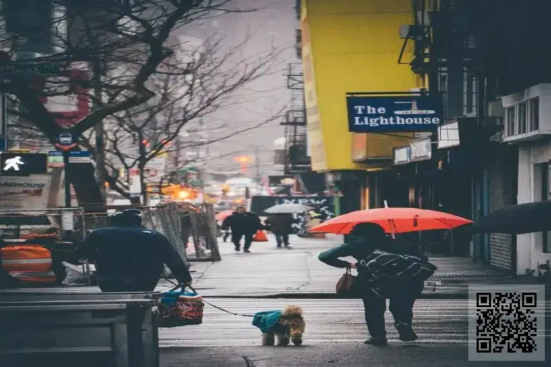 卓高域管理有限公司