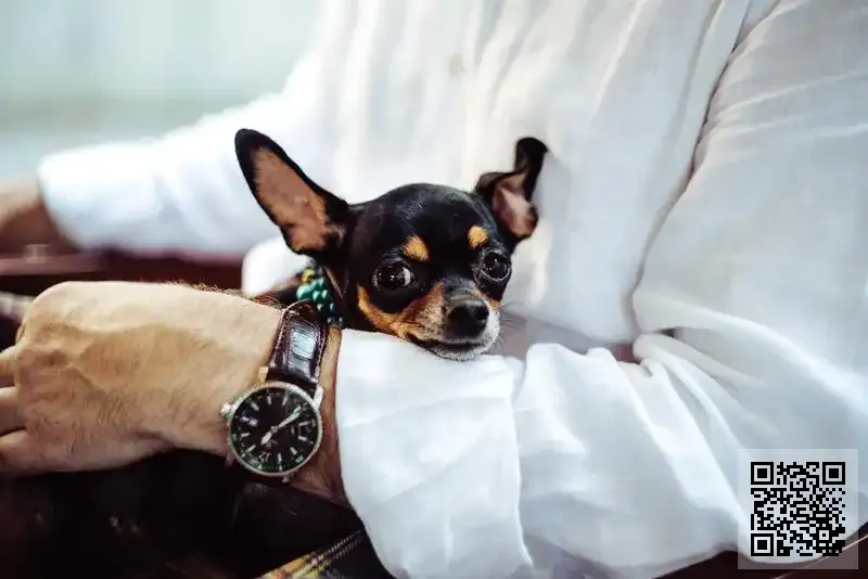 昱朝國際貿易有限公司