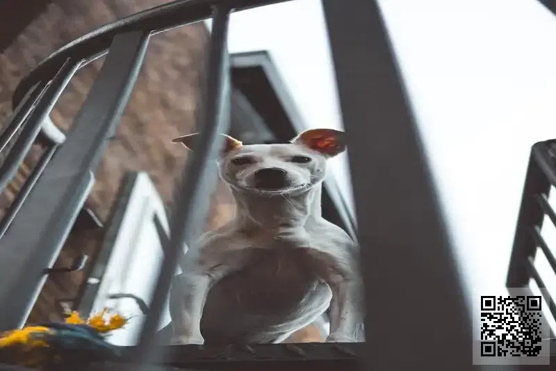 泰裕興國際有限公司