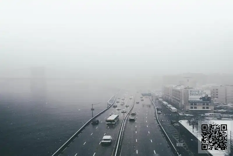 Lady-Paradise Beauty Limited