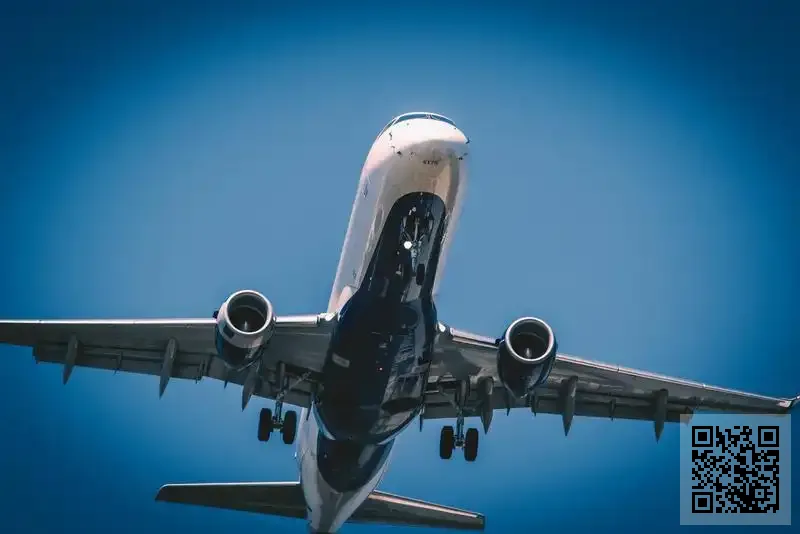 飛滿科技有限公司