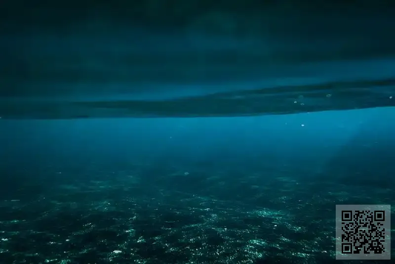 鴻豪發展有限公司