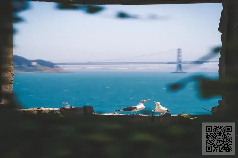 爵飾國際有限公司