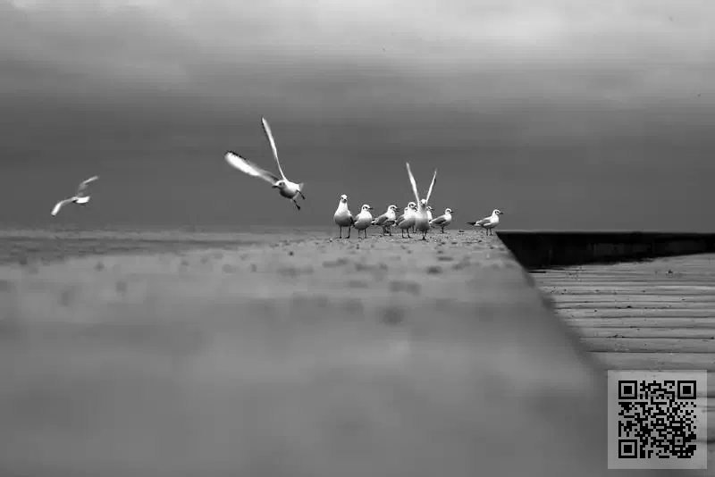 香港丙龍空間設計工程有限公司