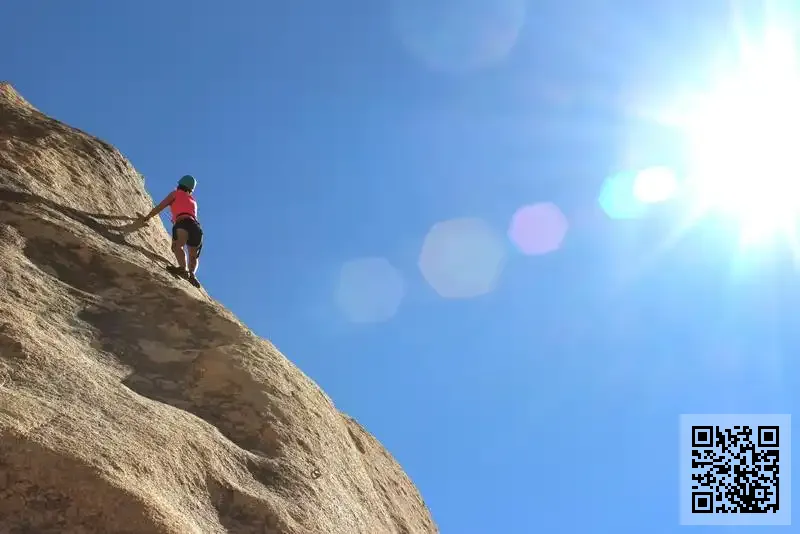 PROGRESSIVE ADVISORY LIMITED