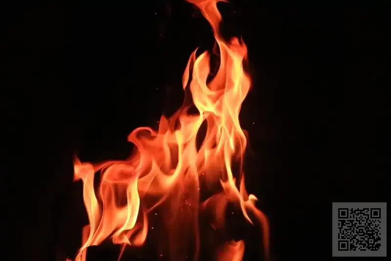 香港越華實業有限公司