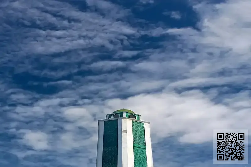 中國伊惟品新潔股份有限公司