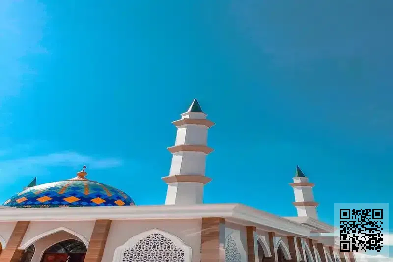 藍飛翔科技(香港)有限公司