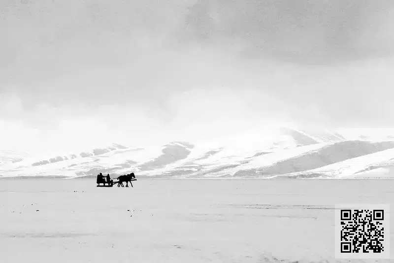 俊藝興業有限公司