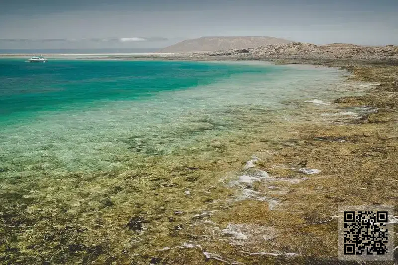 香港蘇越汽車精品有限公司