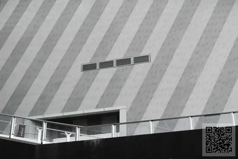 暴龍光學(香港)國際有限公司