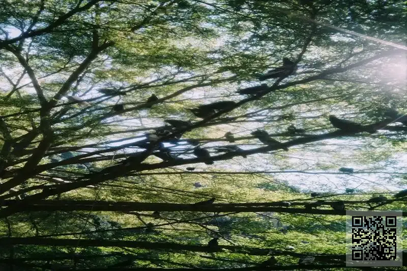 BIGC STYLING LIMITED