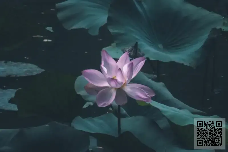 一德營運有限公司