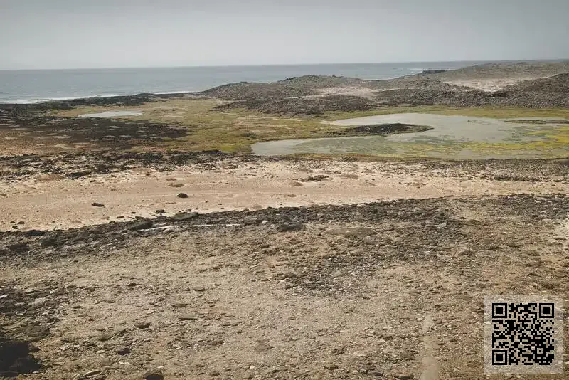 香港國際金融與貿易有限公司