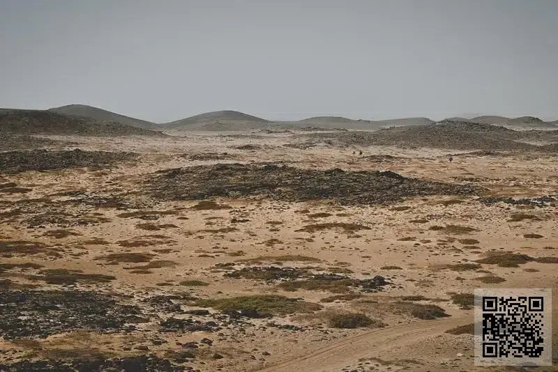 名華建築工程有限公司