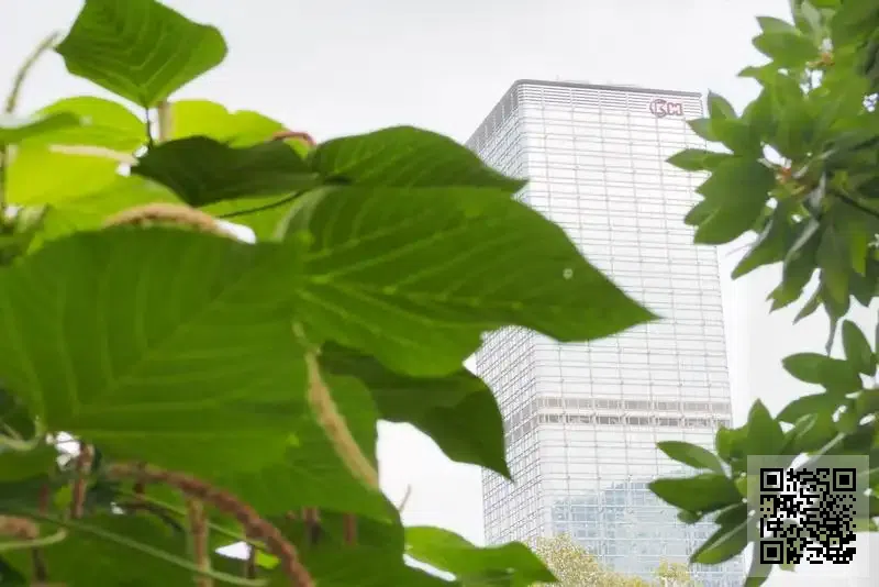 瀚德國際有限公司