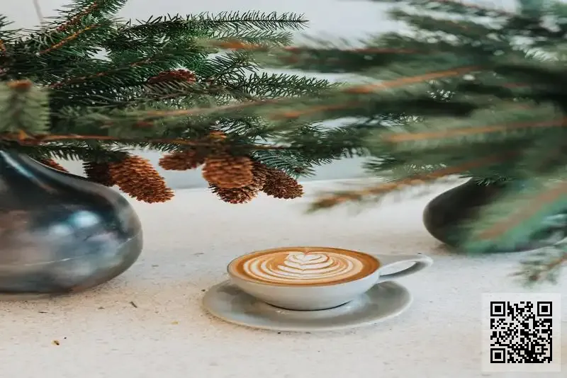 鷹星投資有限公司