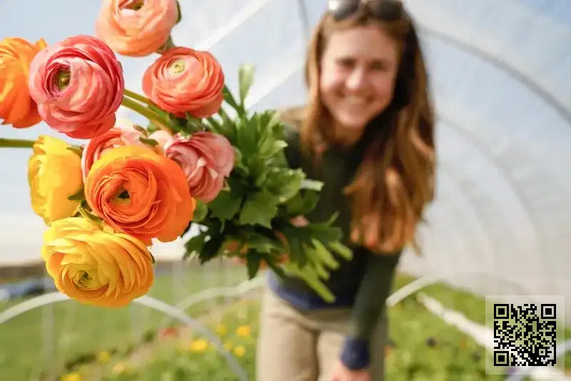香港千力潤滑油有限公司