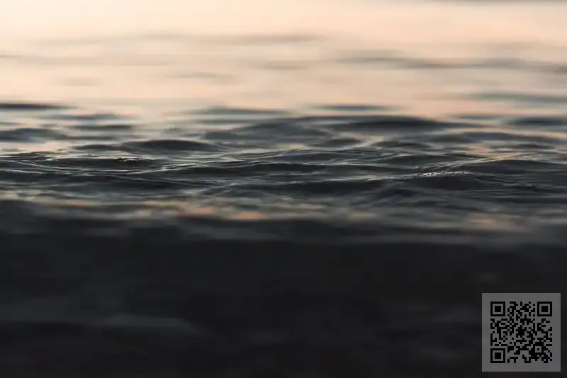 特級園之路有限公司