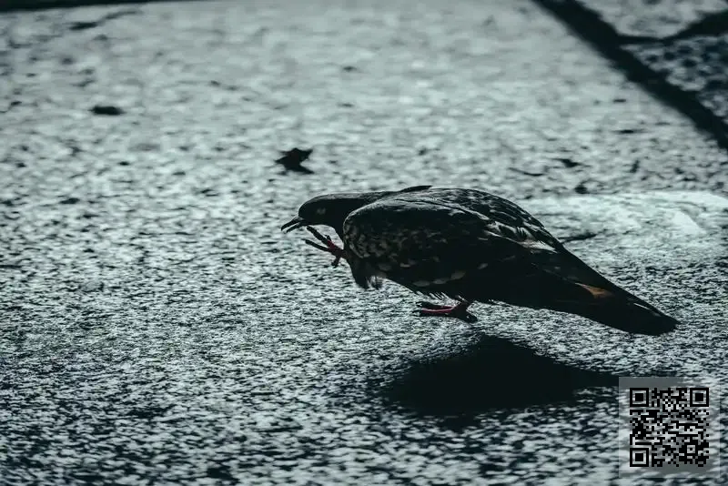 香港廣源集團有限公司