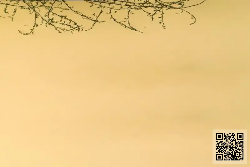 泰利亞洲建築有限公司