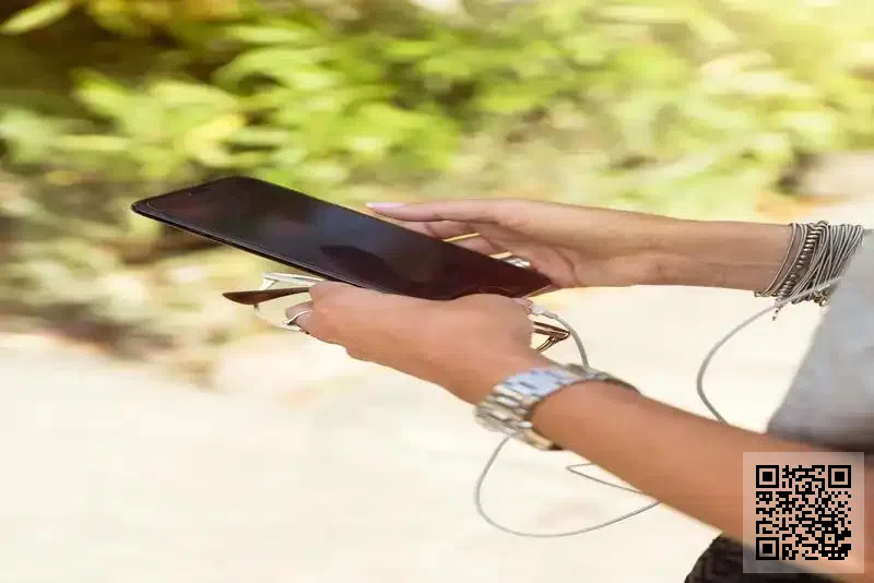 Big Bear Education Limited